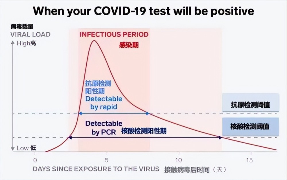 新冠陽了后，抗原需要天天做嗎？一看你就明白